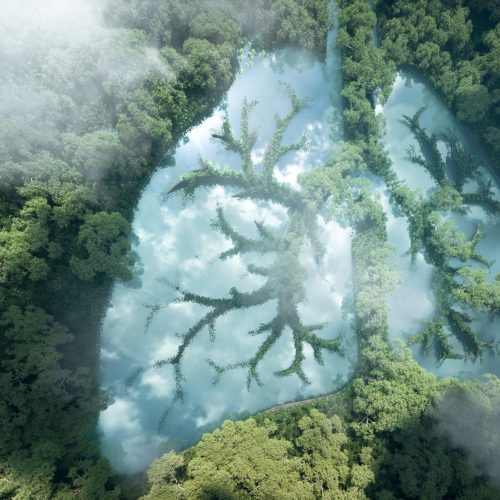 Green,Lungs,Of,Planet,Earth.,3d,Rendering,Of,A,Clean Green,Lungs,Of,Planet,Earth.,3d,Rendering,Of,A,Clean