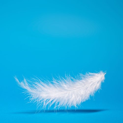 White,Light,Feather,,Shadow,On,Empty,Blue,Background