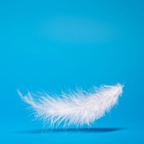 White,Light,Feather,,Shadow,On,Empty,Blue,Background White,Light,Feather,,Shadow,On,Empty,Blue,Background